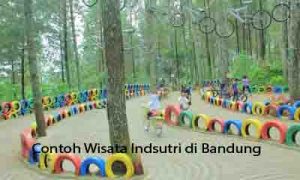 WISATA INDUSTRI: PELUANG PENGEMBANGAN WISATA  BERBASIS INDUSTRI LOKAL