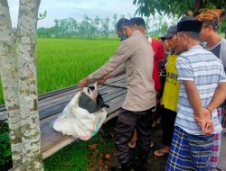 Penemuan Jasad Bayi di Kuripan, Ditemukan Tulisan Minta Tolong Dikuburkan