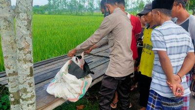 Penemuan Jasad Bayi di Kuripan, Ditemukan Tulisan Minta Tolong Dikuburkan