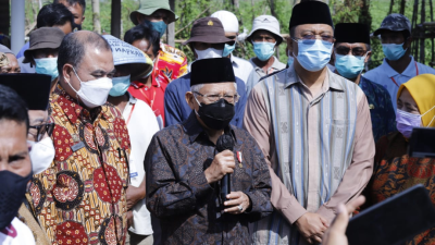 Kunker Wapres ke NTB, Pastikan Wabah PMK Terkendali di Musim Qurban