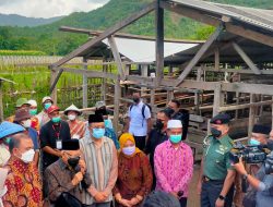 Wakil Presiden Apresiasi Penanganan PMK di Lombok Barat