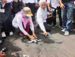 Lepas Liarkan Tukik di Pantai Mapak Indah, Wagub NTB Tekankan Pentingnya Jaga Kebersihan