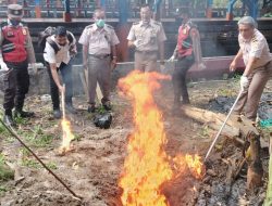 Cegah PMK, Sebanyak 9,68 Kg Daging Sapi Asal Bali Dimusnahkan di Lembar