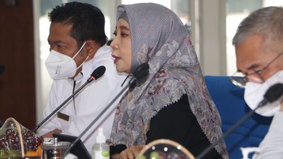 Wagub Ummi Rohmi: 100% Posyandu Keluarga, Modal Tangani Stunting di NTB