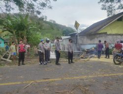 Mobil Pick Up Tertimpa Pohon Tumbang di Lembar, Memakan Satu Korban Meninggal Dunia