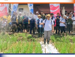 Gubernur Bang Zul : Berkat Penyuluh, NTB Masuk Lumbung Pangan Nasional