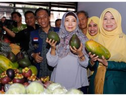 Hadiri Bazar Hortikultura Distanbun, Wagub Ummi Rohmi: Sektor Pertanian Tumpuan Harapan Perekonomian NTB