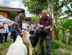 Jadi Provinsi Gudang Ternak Indonesia, NTB Harus Kembangkan Food Estate Sektor Peternakan