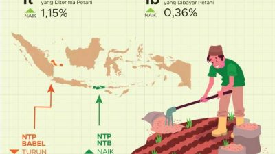 Nilai Tukar Petani (NTP) NTB Mengalami Kenaikan