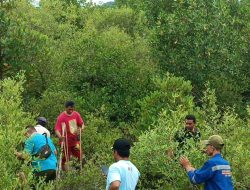 Penanaman Pohon Mangruve Pandahuluan Secara Serentak Sebanyak 2.000 Pohon