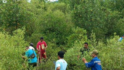 Penanaman Pohon Mangruve Pandahuluan Secara Serentak Sebanyak 2.000 Pohon