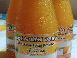 Perasan Sari Jeruknya Bikin Penasaran