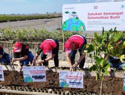 Semarak HUT ke-53 Tahun Astra Motor Tanam 10.000 Bibit Mangrove Wujud Semangat Selamatkan Bumi