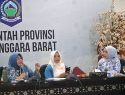 Pengangkatan Pengurus dan Rapat Koordinasi Dekranasda: Bunda Lale Ajak Bangun Tim yang Solid