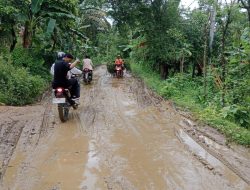 IMH Loteng : Rusaknya Jalan Masyarakat Di Balik Megahnya Mandalika