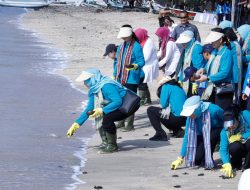 Kunjungi Pantai Elak Elak Sekotong Lombok Barat, Bunda Lale Dampingi Ibu Negara Iriana Joko Widodo Lepas 300 Tukik