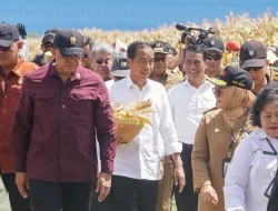 Pj Gubernur NTB Miq Gite Dampingi Presiden Jokowi  Panen Raya Jagung di Samota Sumbawa NTB