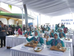 PJ Dekranasda NTB, Bunda Lale, Dampingi Ibu Negara Panen Mutiara Laut Lombok