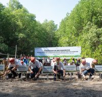 Peringati Hari Lingkungan Hidup Sedunia, Yayasan AHM Tanam Puluhan Ribu Mangrove