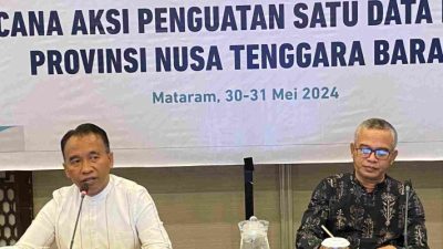 Kadis Kominfotik NTB Paparkan Tantangan dan Solusi Penguatan Satu Data