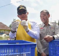 Berkunjung ke Lobar, Pj Gubernur NTB Panen Udang Vaname dan Bagi Hadiah Umroh