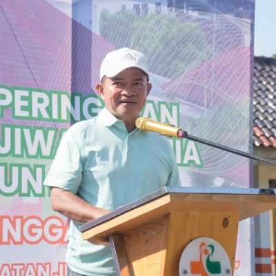 Pj Gubernur Hassanudin Hadiri Hari Kesehatan Jiwa Sedunia 2024