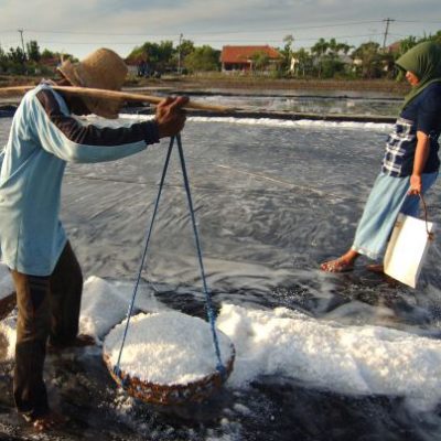 Pengelolaan Garam Nusa Tenggara Barat