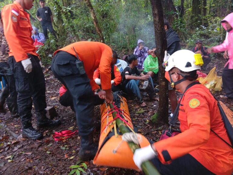 590d90a8-6b75-4889-8290-ca1f01ad53cc