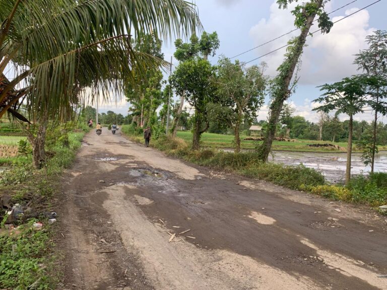 WhatsApp Image 2025-12-09 at 19.33.09