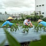 2174e793-2ffd-454b-abe9-57b85ee48fb0