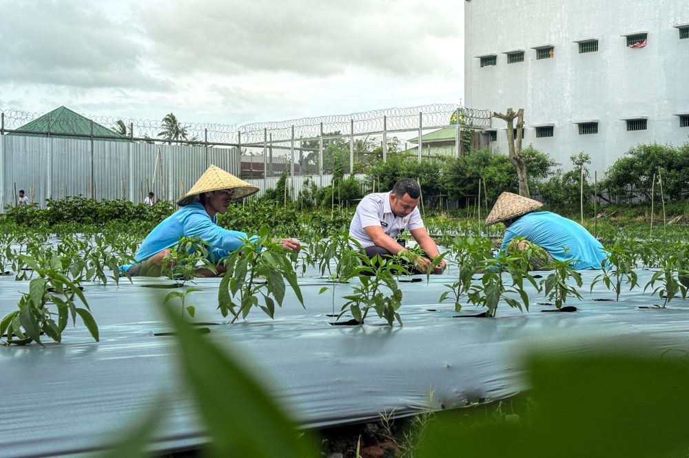 2174e793-2ffd-454b-abe9-57b85ee48fb0