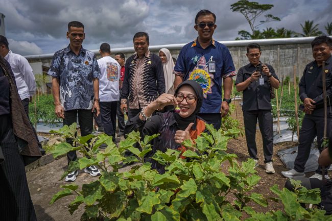 265378ee-ff85-4a0d-81b6-da96cf36ecb0