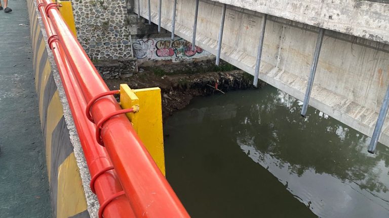 0e99aba0-8911-4041-826b-3dc00a868b3e