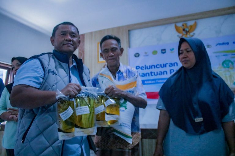 80d25fd0-c69b-48e7-9059-99739d03ba00