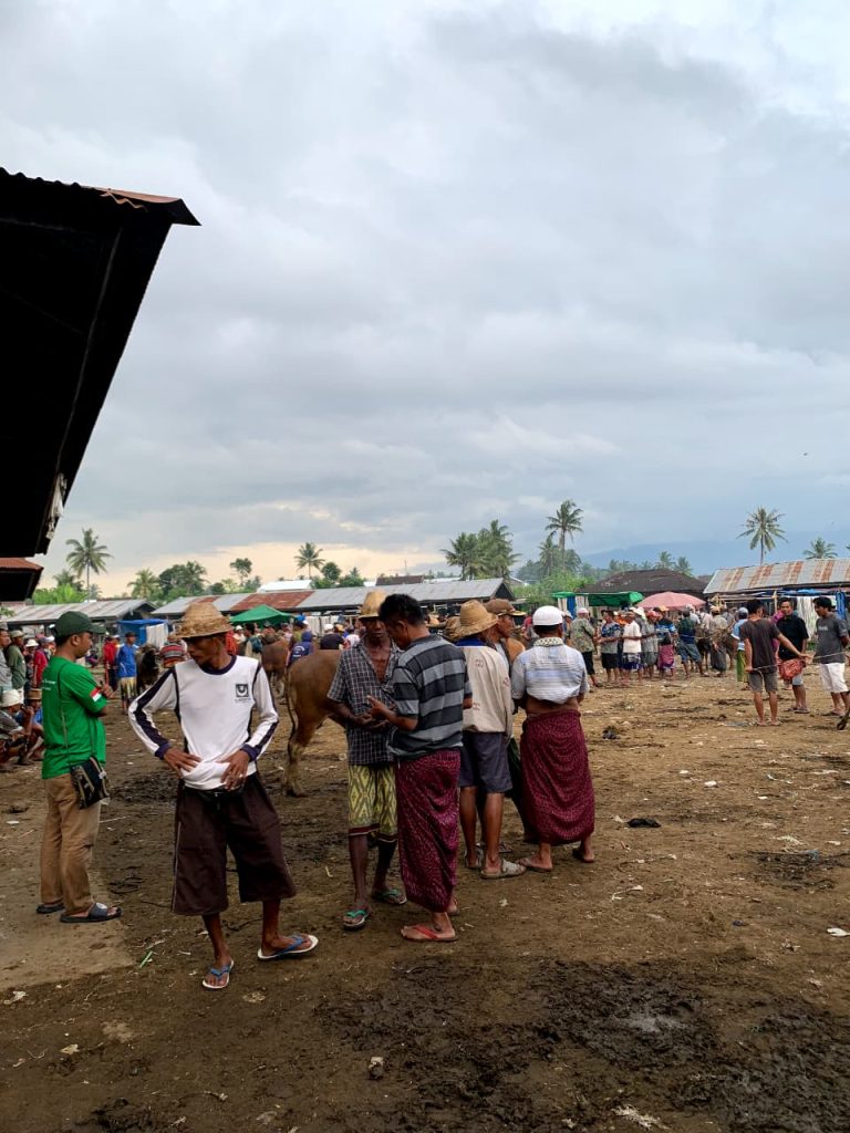 WhatsApp Image 2026-04-25 at 01.53.38