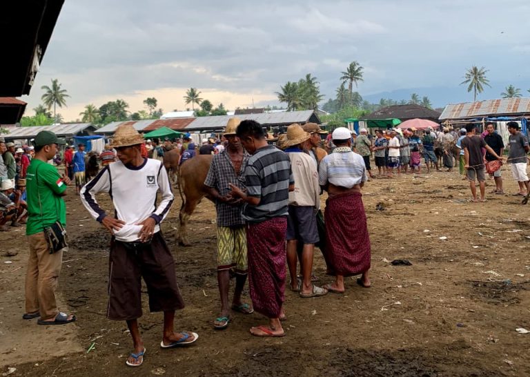 WhatsApp Image 2026-04-25 at 01.53.38