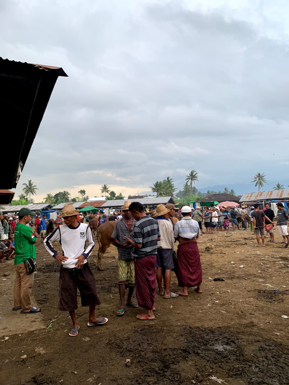 WhatsApp Image 2026-04-25 at 01.53.38