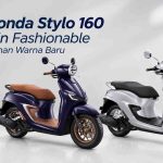 Stylo